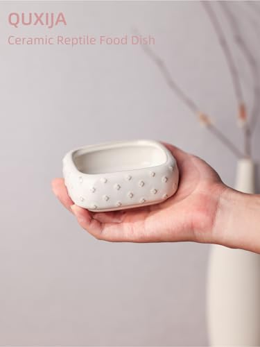 2-Pcs Ceramic Reptile Food Bowl, Mini Reptile Feeder (Farmhouse White) | Stable Base Design, Smooth Surface for Easy Cleaning, Safe Feeding Solution, Compact Habitat Accessory, Everyday Use - color: Farmhouse White