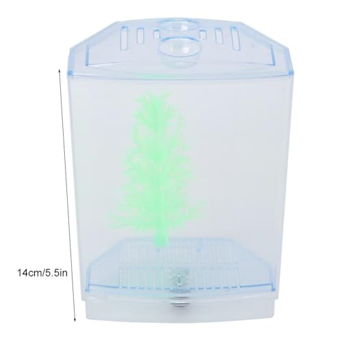 Mini Fish Breeding Box Acrylic Isolation Tank with Dirt Groove for Aquarium Fish Observation and Protection (Single) - size: Single