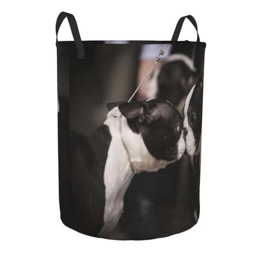 Boston Terriers At Dog Show Round Waterproof Oxford Cloth Laundry Basket Multi-Purpose Storage Basket Toys Books Clothes Storage Basket - color: Black 3