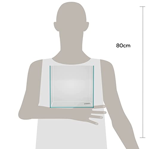 20C Rimless Low-Iron Cube Aquarium, 2 Gal, 7.9x7.9x7.9in | 20x20x20cm; shrimp, betta and nano; 5mm glass - size: 02Gal W7.8×D7.8×H7.8 in(20x20x20cm)