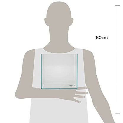 20C Rimless Low-Iron Cube Aquarium, 2 Gal, 7.9x7.9x7.9in | 20x20x20cm; shrimp, betta and nano; 5mm glass - size: 02Gal W7.8×D7.8×H7.8 in(20x20x20cm)