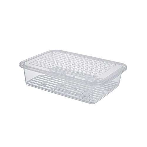 Bento Boxes Food Storage Containers with Removable Drain Plate, for Family, Tray to Keep Fruits, Vegetables, Meat, Fish Etc. Out of The Drippings(Large) - size: Large