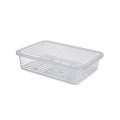 Bento Boxes Food Storage Containers with Removable Drain Plate, for Family, Tray to Keep Fruits, Vegetables, Meat, Fish Etc. Out of The Drippings(Large) - size: Large