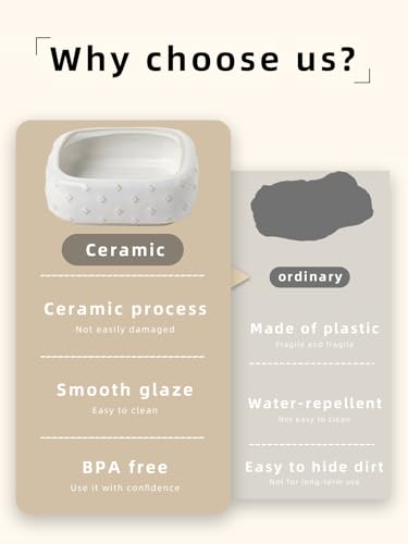 2-Pcs Ceramic Reptile Food Bowl, Mini Reptile Feeder (Farmhouse White) | Stable Base Design, Smooth Surface for Easy Cleaning, Safe Feeding Solution, Compact Habitat Accessory, Everyday Use - color: Farmhouse White