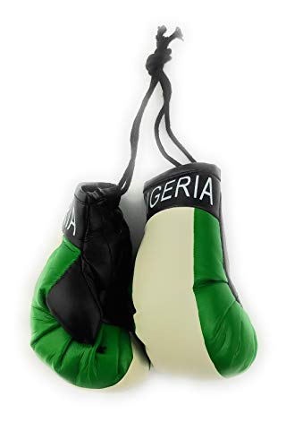 Hanging Car Mirror Mini Boxing Gloves (Nigeria) - color: Nigeria