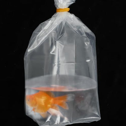 Hemobllo 50 Pcs Ornamental Fish Packaging Bags with Leak-proof Design Small 20x35x12 Cm Plastic Fish Transport Pouches with Flat Bottom and Carry Handle Shipping and Storage Bags