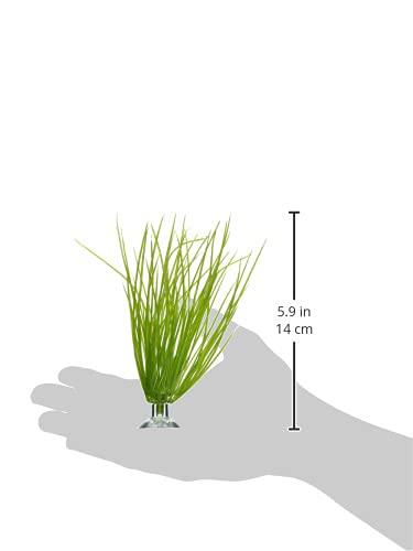 Marina Betta Kit Plastic Plant, Hairgrass - style: Hairgrass
