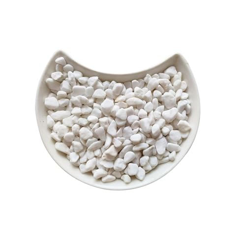 1LB Natural Gravel Pebbles, Cactus and Succulent Plants Pebbles, Small Decorative Polished Stones, White River Rocks for Potted Plants, Vases, Aquariums, Terrarium and Outdoor Gardening - color: 1LB White