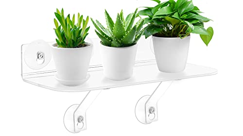 15 Inch Suction Cup Shelf for Plants Window, 6IN Extra Wide with Load-Bearing Brackets Window Shelf for Plants, Acrylic Sill Extender for Growing Herbs, Micro Vegetables, Succulents, Clear-1 - size: 15IN-1PC