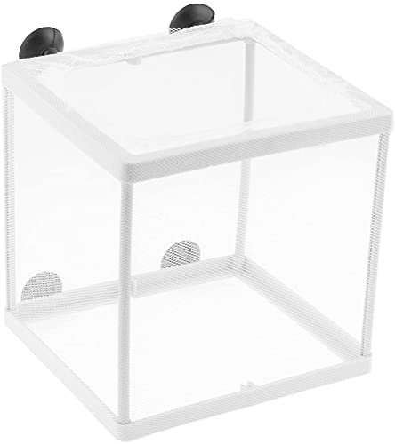 XYWHPGV Plastic hatchery breeder auarium Net Fry, white(93592 8cb38 fd186 5768b 04551 8ea73