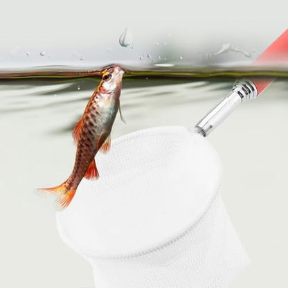 Green/Red Square Round Metal Aquarium Fish Net Mini Size Extendable Telescopic Fish Shrimp Landing Net Aquarium Fish Tank Tool - style: Red Round