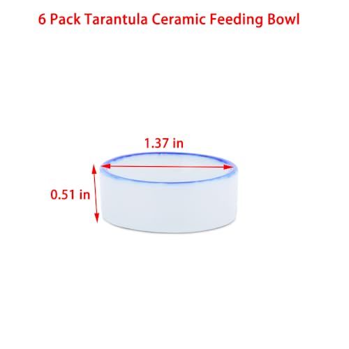 6 Pack Tarantula Ceramic Feeding Bowl Hermit Crab Water Bowl Spider Small Reptile Micro Ceramic Food Dish (1.37" D, 0.51" H)
