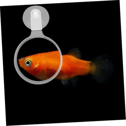 Ipetboom 4pcs Lens Cup for Fish Tank and -Landscape Observation Acrylic Magnifier for Plants and Small Animals