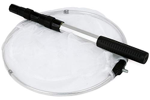 Insect and Butterfly Net with 12" Ring, 24" Net Depth, Handle Extends to 36 Inches - size: 12" ring, 36" handle