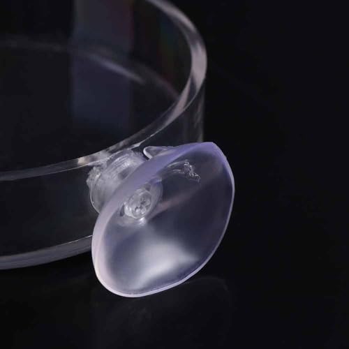 Shrimp Food Box, Round/Square Practical Fish Feeding Bowl, Acrylic Transparent Aquarium Accessories Fish Feeding Dish Shrimp Food Feeding Circle(C) - style: C