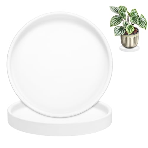 M METERXITY 2-Pack Plant Saucers, 5.7 Inch ID Anti-Rot Root Ceramic Flower Pot Plant Saucers for Indoor/Outdoor, Round Flowerpot Drip Tray [6.1 Inch OD, White] - color: White, size: 5.7 Inch