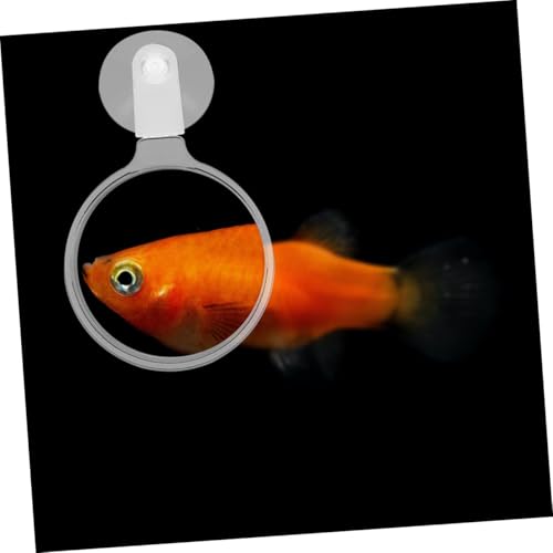 FOMIYES 4pcs Fish Tank Observation Magnifier with Cup Acrylic Viewing Tool for Betta Fish -Landscapes Spiders and Animals