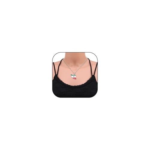 Iran Necklace Iran Map Charm Necklaces Dainty Gold Necklaces for Women Silver Jewelry Gifts for Women - color: A6:Iran Map Necklace