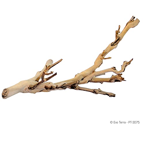 Exo Terra Forest Branch Small - Natural Wood Terrarium Decoration | For Reptiles, Amphibians & Small Pets - size: Small