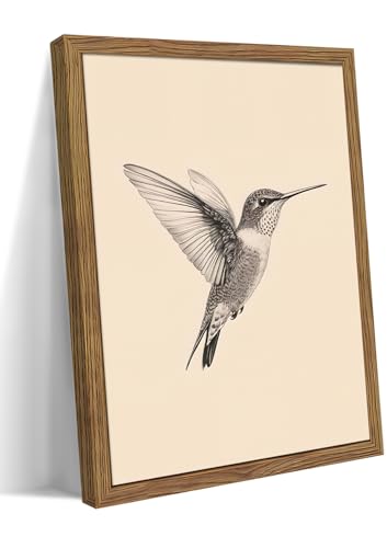 Vintage Framed Wall Art, Birds Canvas Prints, Hummingbird Sketch Painting Picture, Neutral Farmhouse Artwork Wall Decor for Living Room Bedroom – Dark Wooden Frame 12x16in - color: Hummingbird, size: 16"L x 12"W