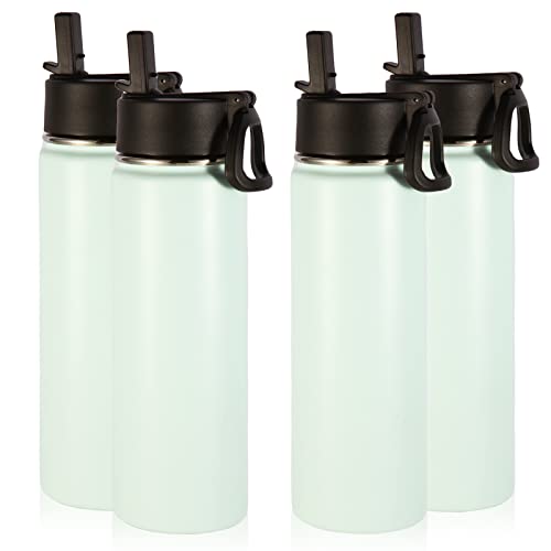 Volhoply Insulated Water Bottles with Straw Bulk 4 Pack, 22 oz Stainless Steel Sports Bottle with Handle Lid,Metal Double Wall Travel Water Cups with Wide Mouth,Reusable Cold Water Flask(Fog,4 Set) - color: Fog