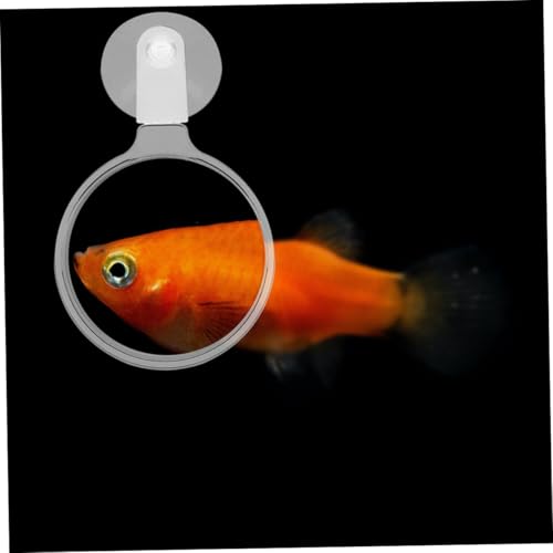 CALLARON 4pcs Acrylic Cup Lens for Fish Tank Viewing for Observing Animals User-Friendly Design for Easy Installation and Use