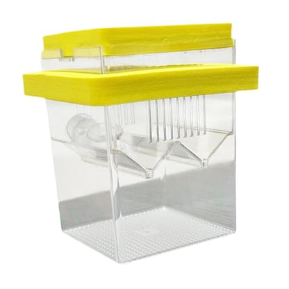 Floating Hatching Box Fish Breeding Box Fish Nursery Separation Hatchery Fish Isolation Box for Baby Fishes Shrimp,Fish Egg, Yellow - color: Yellow