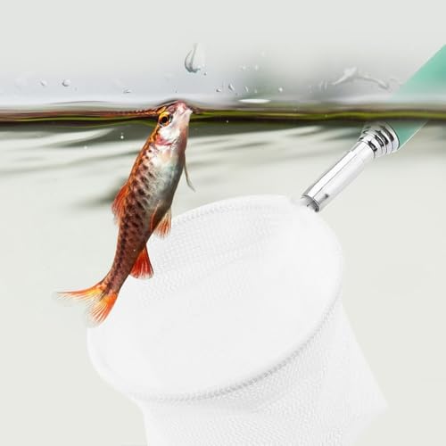 Green/Red Square Round Metal Aquarium Fish Net Mini Size Extendable Telescopic Fish Shrimp Landing Net Aquarium Fish Tank Tool - style: Green Round