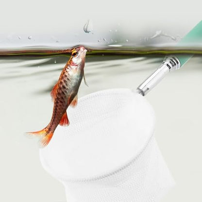 Green/Red Square Round Metal Aquarium Fish Net Mini Size Extendable Telescopic Fish Shrimp Landing Net Aquarium Fish Tank Tool - style: Green Round