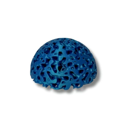 REEFSHAPE Aquarium Dome Coral Frag Stand | Coral Reef Replica Frag Stand Base for Growing Coral | Displays Multiple Frags | Made in USA (Neptune Blue) - color: Neptune Blue