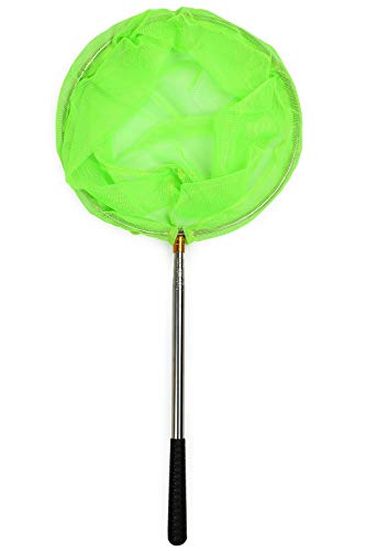 RESTCLOUD Bait Net and Fishing Landing Net with Telescoping Pole Handle Extends to 59 inches - color: Green