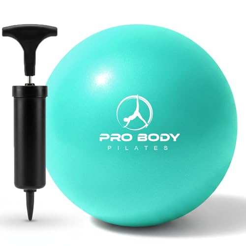 ProBody Pilates 볼 펌프 포함 소형 운동 공, 22.9cm(9인치) 바레 볼, 미니 소프트 요가 볼, 안정성을 위한 운동 공, 바, 피트니스, 복근, 코어, 물리 치료 및 물리 치료 공, 가정 체육관 및 사무실 - color: 아쿠아
