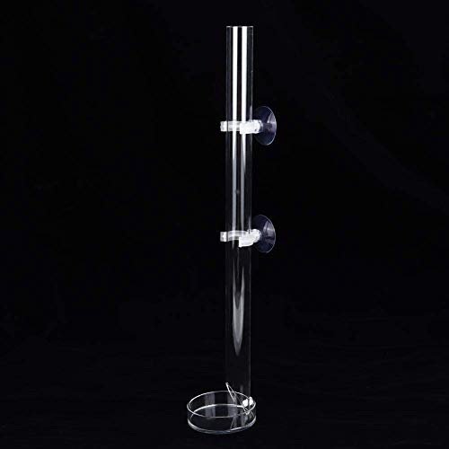 Acrylic Shrimp Feeder Tube, Ornamental Aquarium Feeding Tube Fish Food Container Set with Sucker Hook Fish Accessories(20cm)