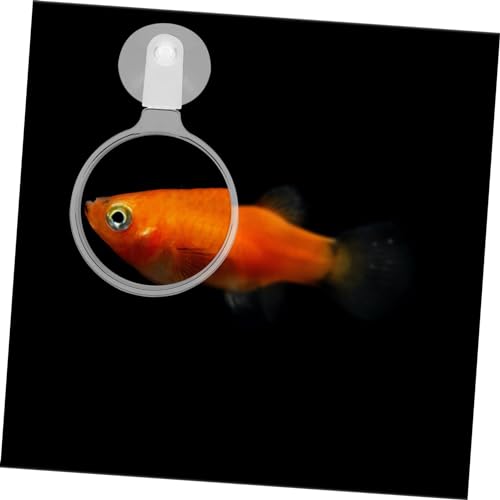 VICASKY Betta Fish Aquarium Magnifier Cup Plant Viewer for Landscapes and Small Animals Easy Installation for Detailed Observation