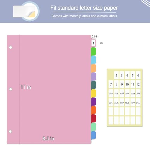Binder Dividers with Tabs,Monthly Dividers for 3 Ring Binder,12 TABS,Customizable Table of Contents,Multicolor,1 Sets