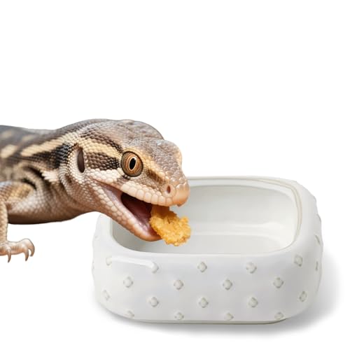 2-Pcs Ceramic Reptile Food Bowl, Mini Reptile Feeder (Farmhouse White) | Stable Base Design, Smooth Surface for Easy Cleaning, Safe Feeding Solution, Compact Habitat Accessory, Everyday Use - color: Farmhouse White