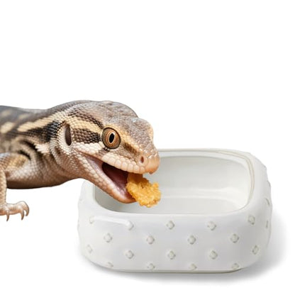 2-Pcs Ceramic Reptile Food Bowl, Mini Reptile Feeder (Farmhouse White) | Stable Base Design, Smooth Surface for Easy Cleaning, Safe Feeding Solution, Compact Habitat Accessory, Everyday Use - color: Farmhouse White