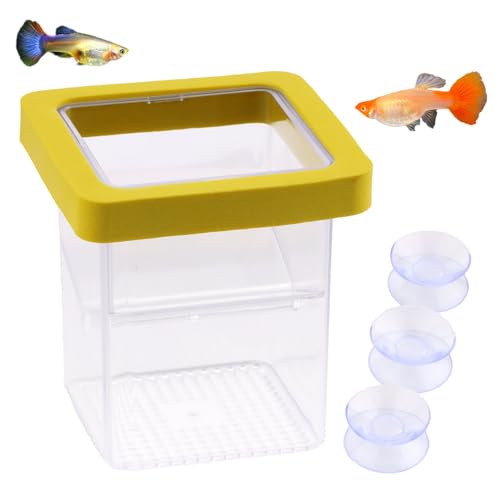 1 Pack Floating Fish Breeding Isolation Box Acrylic Floating Hatching Box for Baby Fish Shrimp Clownfish Betta Eggs Aquarium Tank