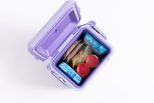 Igloo Maxcold Ice Block - color: 2PK Large