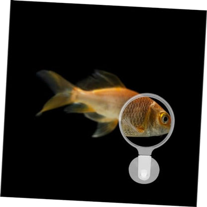 Betta Fish Glass Cup Viewer for Fish Tank Observation Clarity for Landscapes and Small Animals for Educational Exploration