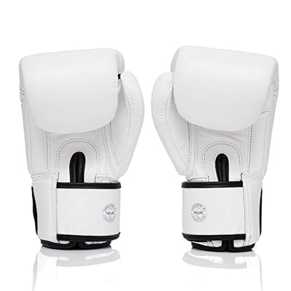 Fairtex BGV1 ONE Muay Thai Boxing Sparring Gloves - color: White, size: 10 oz