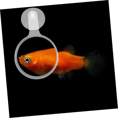 4pcs Acrylic Lens Cup for Fish Tank Observation for Betta Fish -Landscapes and Creatures
