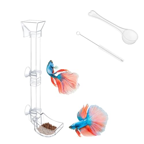 Aquarium Fish Shrimp Feeding Dish Set - Clear Feeder Tube and Dish With Cleaning Brush and Measuring Spoon for Preventing Food Scattering - Supplies for Shrimp Medium - size: Medium
