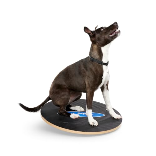 FitPaws Wobble Board - Dog Balance Training Equipment for Core Strength & Stability Canine Fitness & Rehabilitation Tool 20" - size: 20"
