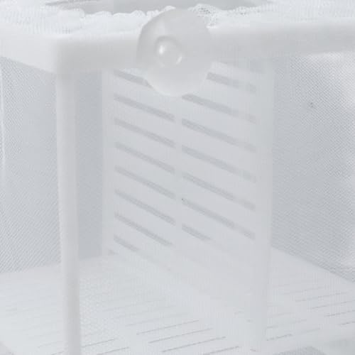 MY MIRONEY 2PCS 6.3" x 5.51" x 5.91" White Fish Tank Breeder, with Divider | Nylon Fish Incubator Mesh Box Aquarium Fish Fry Hatchery Breeder with Suction Cups - style: 6.3" x 5.51" x 5.91"; White; with Divider