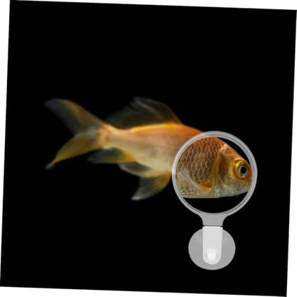 4pcs Acrylic Fish Tank Glass Cup for Close-up Viewing of Betta Fish Landscapes Ants Spiders and Plants Easy Installation and Observation Tool