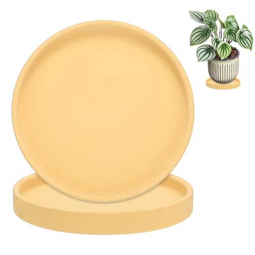 M METERXITY 2-Pack Plant Saucers, 5.7 Inch ID Anti-Rot Root Ceramic Flower Pot Plant Saucers for Indoor/Outdoor, Round Flowerpot Drip Tray [6.1 Inch OD, Yellow] - color: Yellow, size: 5.7 Inch