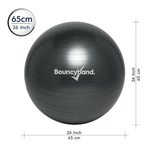 Bouncyband Balance Ball – Create Flexible Seating to Improve Focus at School, Office, or Home with This No-Roll Weighted Ball - color: Dark Gray, size: Large (Pack of 1)