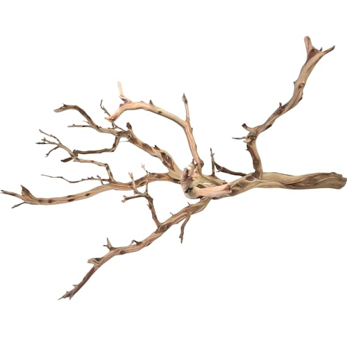 Koyal Wholesale California Driftwood with Natural Brown Branches, 36-Inch Large Driftwood Decor - size: 36 Inches