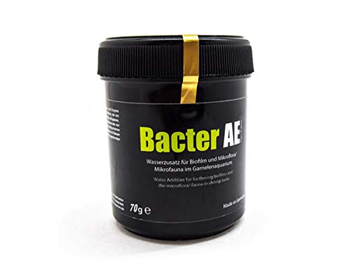 GlasGarten Bacter AE Shrimp (70g) | Nutrients for Live Freshwater Shrimp Food/Aquarium Water (Neocaridina, Amano, Red Cherry, Rili)